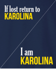 If I lost return to If I lost return to
